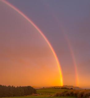 Mountain Pure Lodge - 4