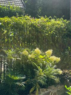 Le Moulin de Rochopt - 3