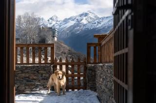 四姑娘山烟岚雪岫野宿 - 1
