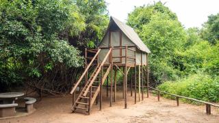 Pafuri Accommodation Rivercamp - 2