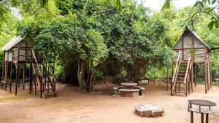 Pafuri Accommodation Rivercamp - 1