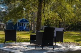 Alvin with all serenity and bliss and yet close dearly - 5