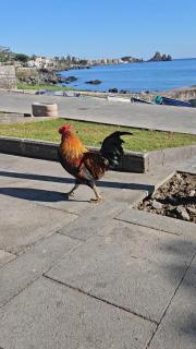 LaLuna Apartments - Sea Panorama - 20mins from CTA airport - Acitrezza - 1