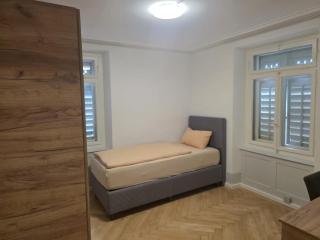 Erholung am Vierwaldstättersee, komfortables 3-Bett-Zimmer in Brunnen - 7