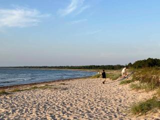 Cozy Summer House By Høve Strand - 7
