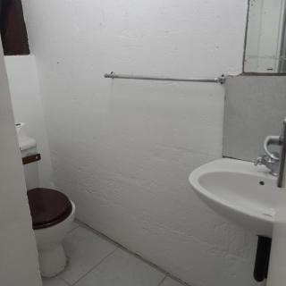 Ocean walk Dorado - 4