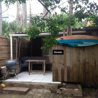 Ocean walk Dorado - 3