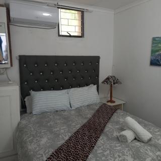 Ocean walk Dorado - 2