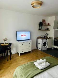 Kiseleff Park Studio - 6