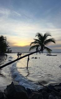 Apartamento de luxo próximo à praia e à vila - 6