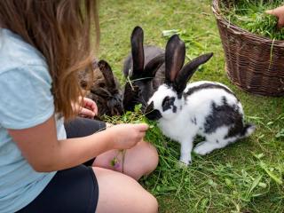 Schleipfnerhof Urlaub auf dem Bauernhof - Bernau am Chiemsee - 4
