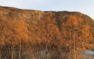 4 Bedroom Gorgeous Home In Edland - 9