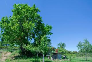 Ruralmedulas Casa 2 - 2
