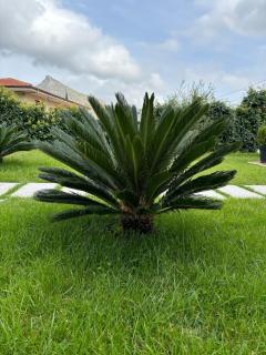 Exclusive Villa with Pool Near Monreale - 3