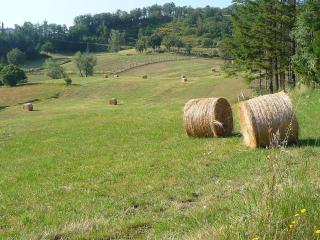 Freistehendes Natursteinhaus für zwei Personen, umgeben von Feldern und Weinreben - 1