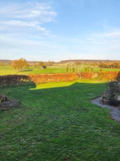 Le cottage de Maddie - charme, calme et authenticité - 9