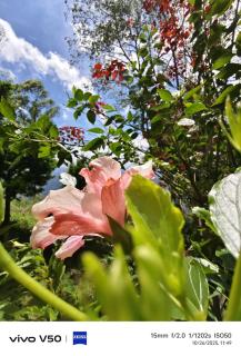 Great Escapes Resorts - 8