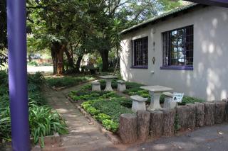 Big Tree Midrand - 8