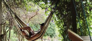 Mirador Jungle El Macuti - 8