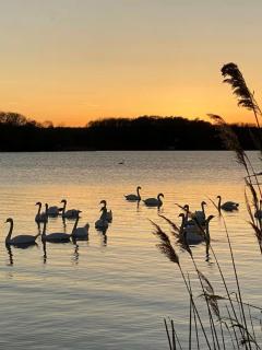 Charmant appartement au Port de Dienville - 1
