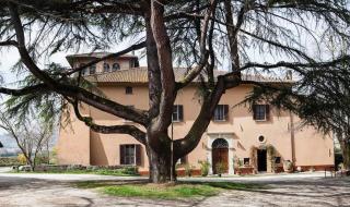 Il Cedro del Libano - 3