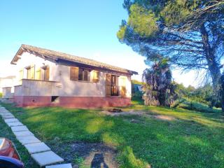 La maison du pin - 6