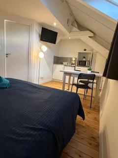 Studio Rénové - Cœur de Ville WIFI - 7