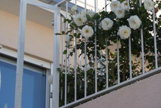 Ferienwohnung im Erdgeschoss für fünf Personen mit Terrasse und Meerblick - 2