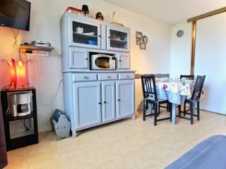 Studio cabine bien équipé proche des pistes - FR-1-340-37 - 0