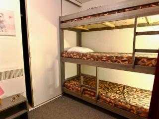 Studio cabine bien équipé proche des pistes - FR-1-340-37 - 3