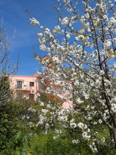 Ferienwohnung In Letojanni Mit Terrasse - 2