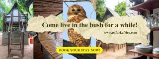 Pafuri Accommodation Rivercamp - 0