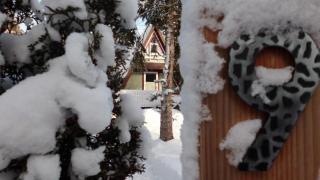 Nur Dach Ferienhaus Für Vier Personen - 4