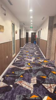 فندق الطلائع الذهبي - 5