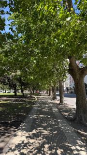 Rincón del Edén - 8