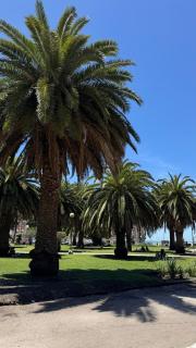 Rincón del Edén - 9