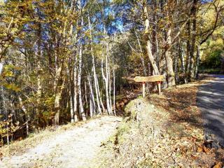 Holiday Home Baita Mirtillo by Interhome - 7