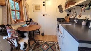Plank Bridge Shepherds Hut in Orchard - Peaceful Escape for Two - 2