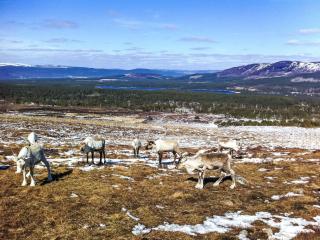 Apartment The Muir by Interhome - 6