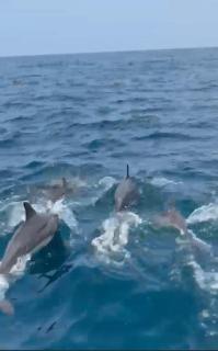 Omeesha Beach Hotel - 3