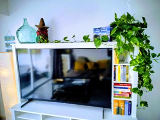 Apartment Residencia Carabela - 8