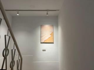 禾光 illuminate - 3