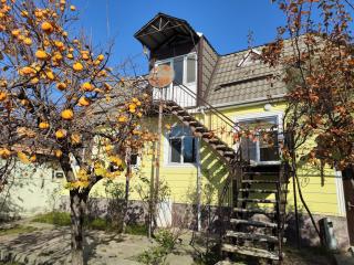 Apartments Firuze - 8