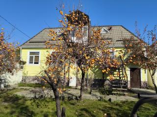 Apartments Firuze - 5