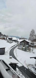 The Saxeten alps - 6