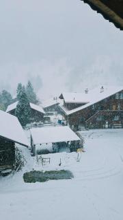 The Saxeten alps - 8