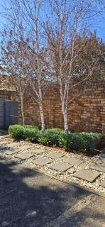 Middelburg Guest House - 8