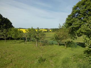 Haus In Zimmert Mit Terrasse, Grill Und Garten - 3
