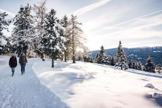 TANOVINUM Apartments - Villanders - 1