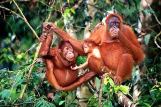 Kinta Riverfront Apartment, Jalan Lim Bo Seng IPOH - 5